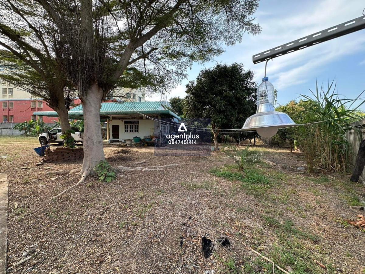 ขายที่ดินทำเลทอง ผังเมืองสีเเดง เทพประสิทธิ์ เมืองพัทยา