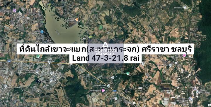 ที่ดินแบ่งขายหรือยกแปลงทำเลทองใกล้เขาตะแบก(สะพานกระจก) ศรีราชา ชลบุรี