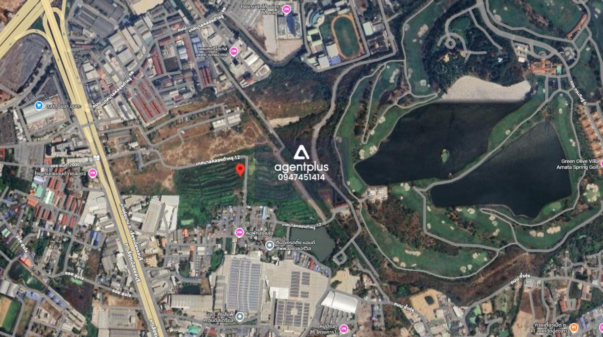 ขายที่ดินยกแปลงใหญ่ ใกล้ถนนเลี่ยงเมืองชลบุรี หนองไม้แดง ชลบุรี