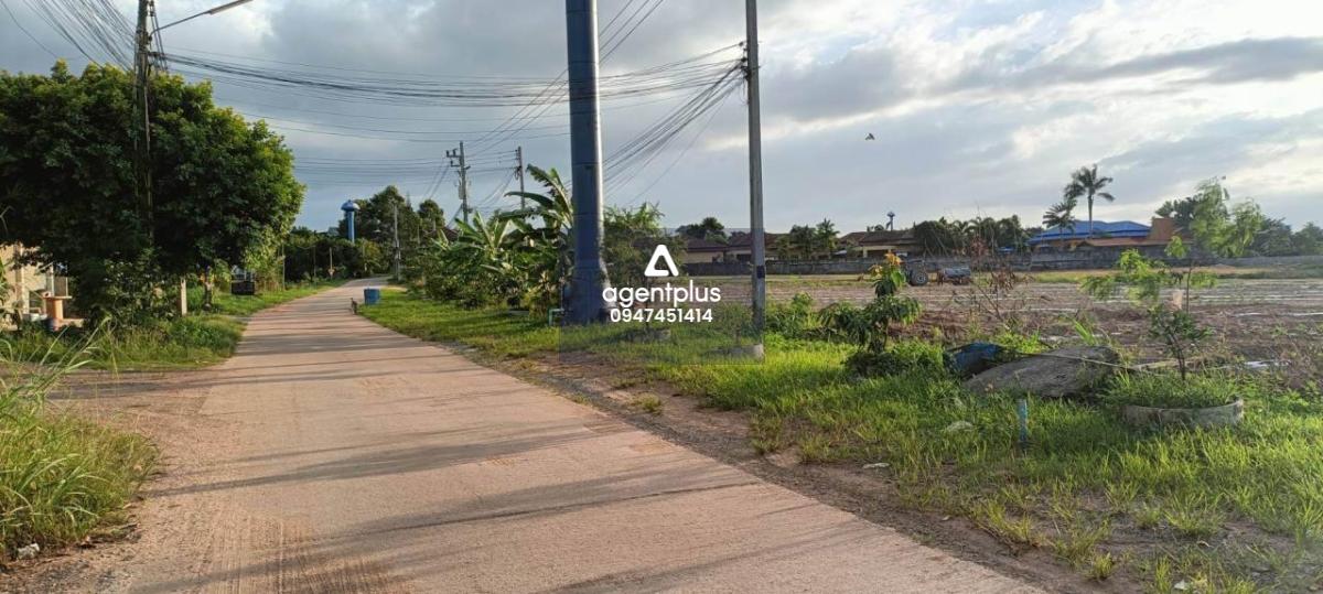 * ขายที่ดินแปลงสวย บางเสร่ สัตหีบ ชลบุรี 