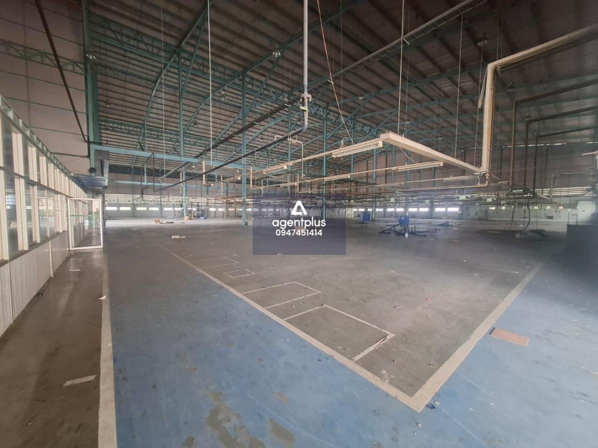 ให้เช่าโกดัง/โรงงาน พื้นที่สีม่วง ซอยวัดบัวรอง บางนา-ตราด กม.23 ขาออก กรุงเทพฯ