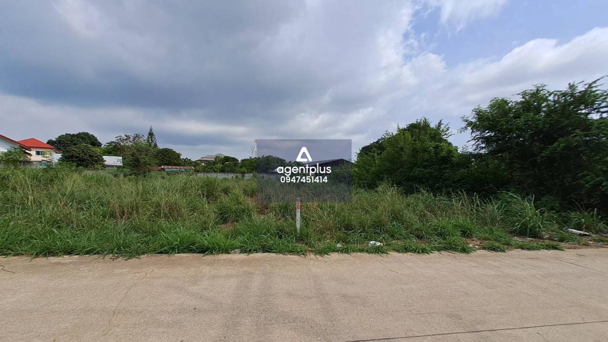 ขายที่ดินใกล้ทะเล บางเสร่ สัตหีบ ชลบุรี