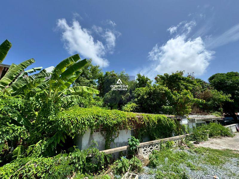 ขายที่ดิน ใจกลางเมือง พัทยากลาง