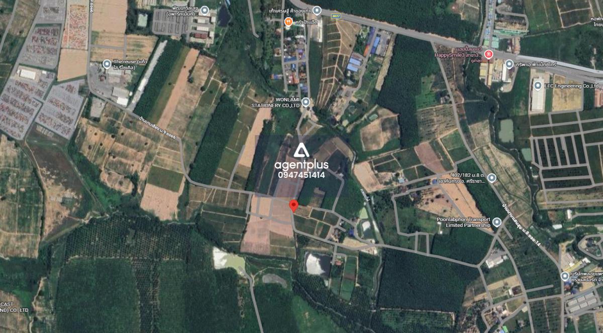 ขายที่ดินแปลงใหญ่ ผังสีม่วงลาย เขาคันทรง ศรีราชา