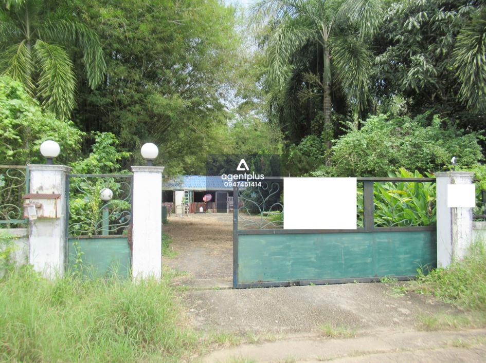 บ้านเดี่ยว 2 ชั้น การคมนาคมสะดวก ใกล้แหล่งชุมชน ซอยมะลิแก้ว ถนนศรีสุทัศน์