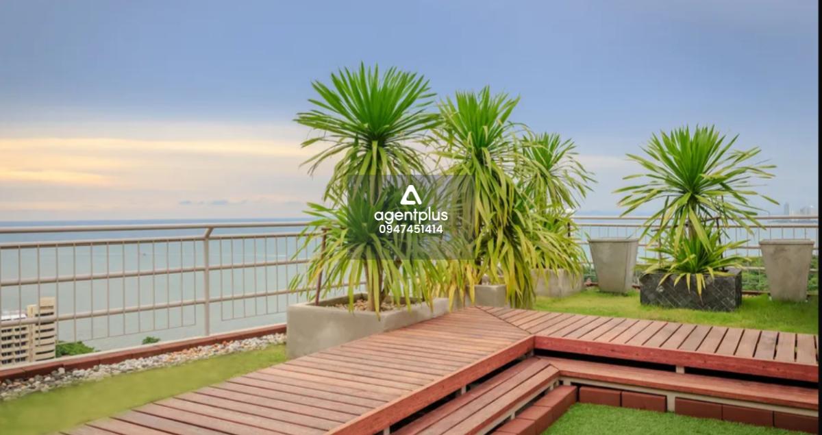 The Cloud Condominium Pattaya: ที่สุดแห่งการอยู่อาศัยหรูหราเหนือระดับ พร้อมวิวทะเลพาโนรามา การออกแบบที่ทันสมัย ใจกลางพัทยา