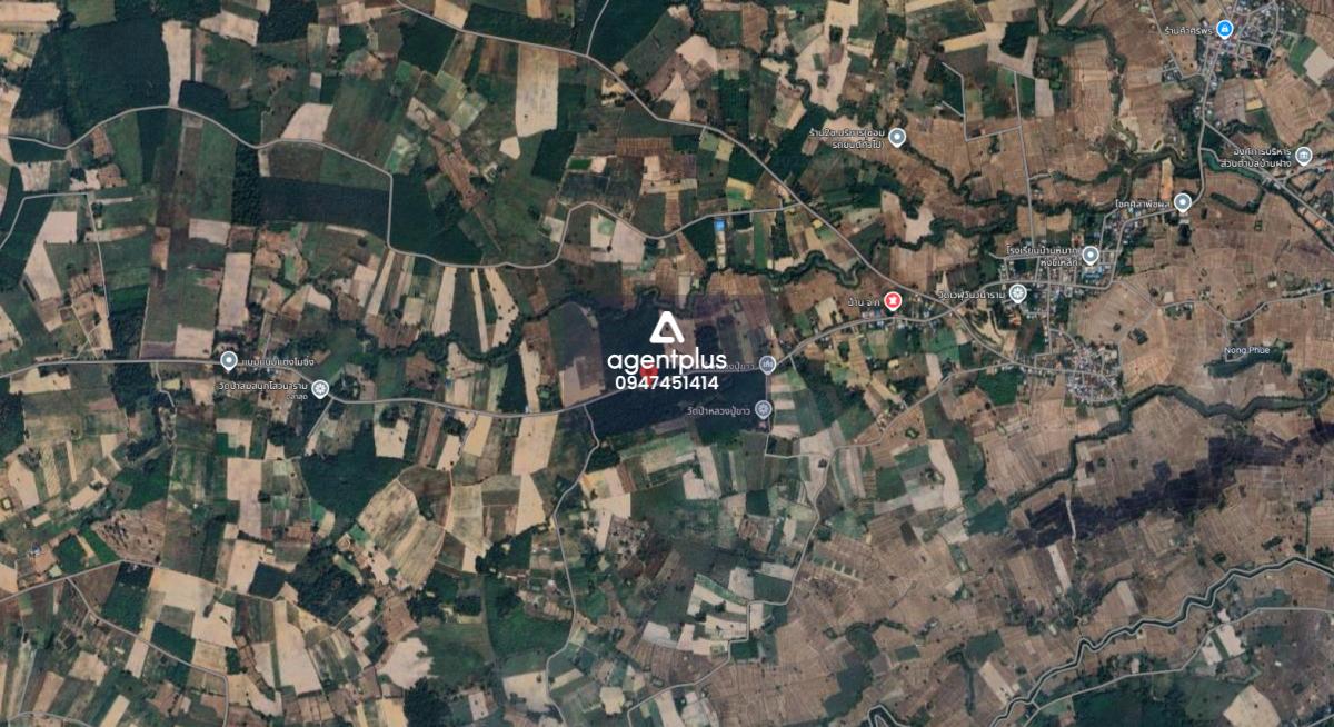 ขายที่ดินแปลงใหญ่ บ้านฝาง สระใคร หนองคาย