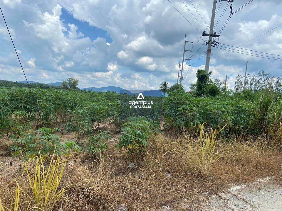 ขายที่ดิน 42ไร่  พื้นที่สีม่วง ,ศรีราชา ,ชลบุรี