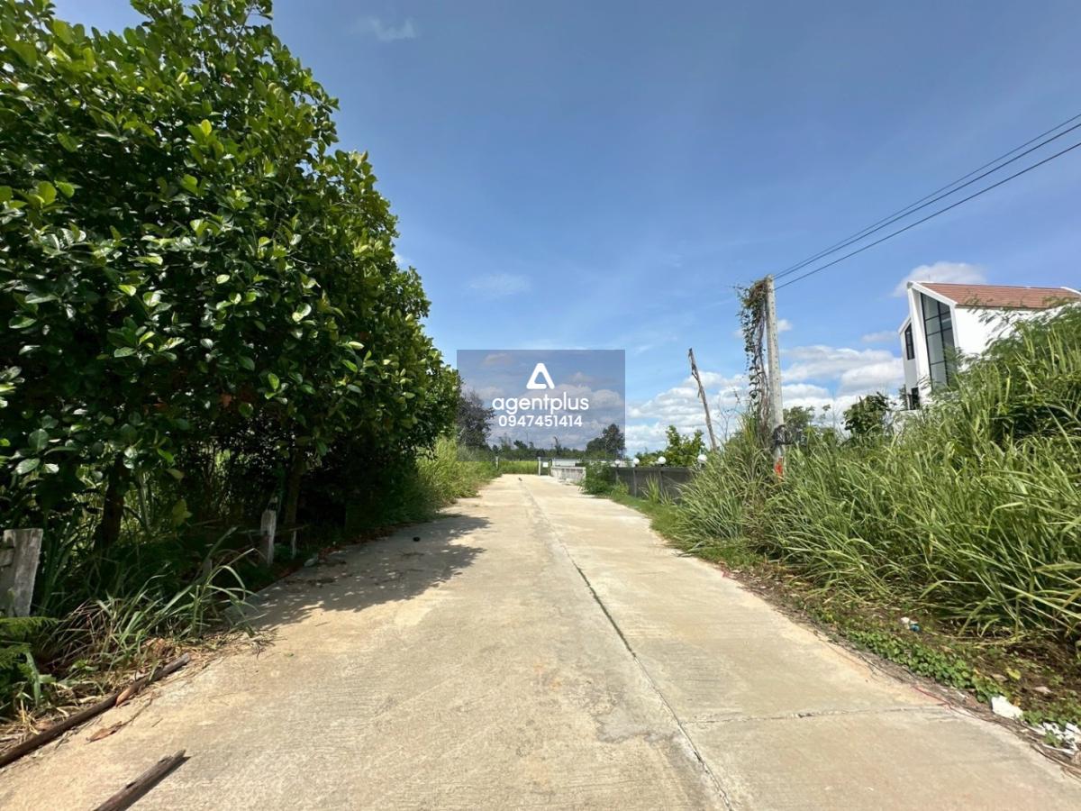  ขายที่ดินในโครงการชากนอก 19