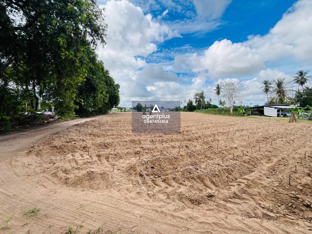 ขายที่ดินเปล่า แปลงใหญ่ ใกล้หมู่บ้านขึ้นใหม่,  โป่ง-พัทยา ใกล้ถนนเส้น 36