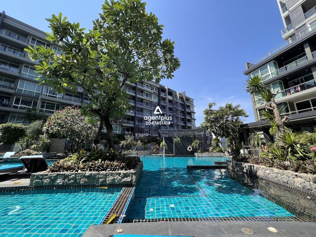 ให้เช่า Apus Condominium พัทยากลาง  คอนโดหรูใจกลางเมือง พร้อมอยู่ 