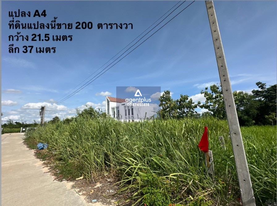  ขายที่ดินในโครงการชากนอก 19