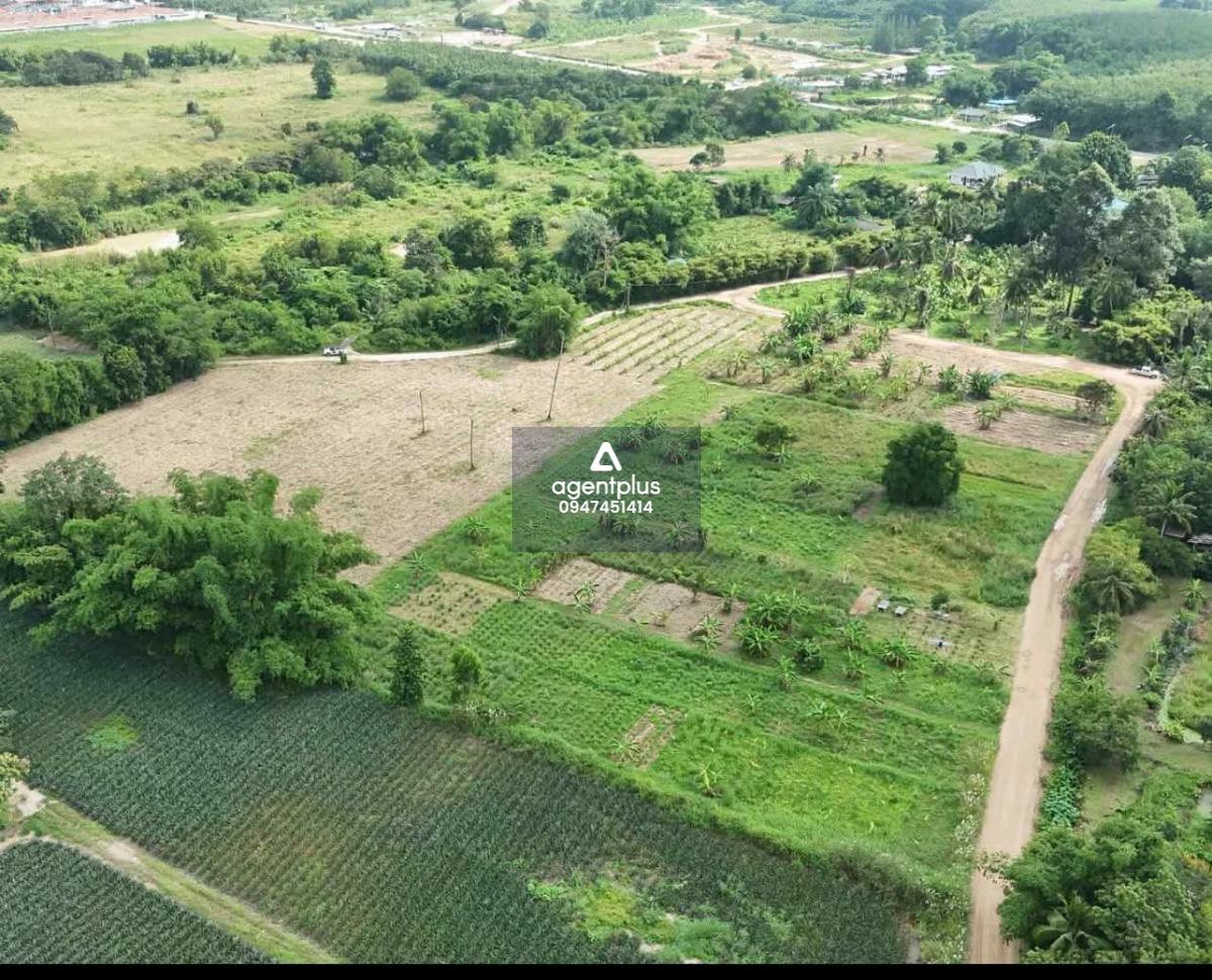 #*ขายที่ดินน้ำ-ไฟพร้อม นิคมพัฒนา ซอย 9 – สาย 15 ใกล้ WHA36 ระยอง