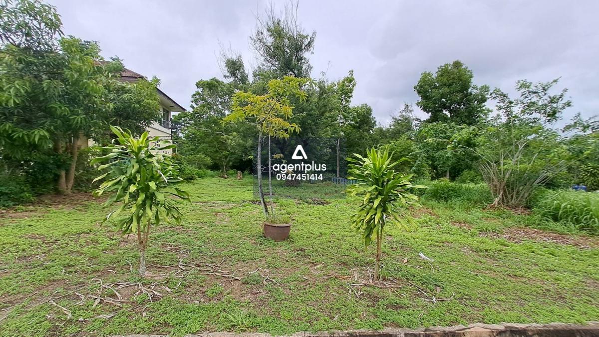 ที่ดินสวยในโครงการบ้านเนินน้ำ ตะเคียนเตี้ย บางละมุง ชลบุรี ราคาพิเศษ