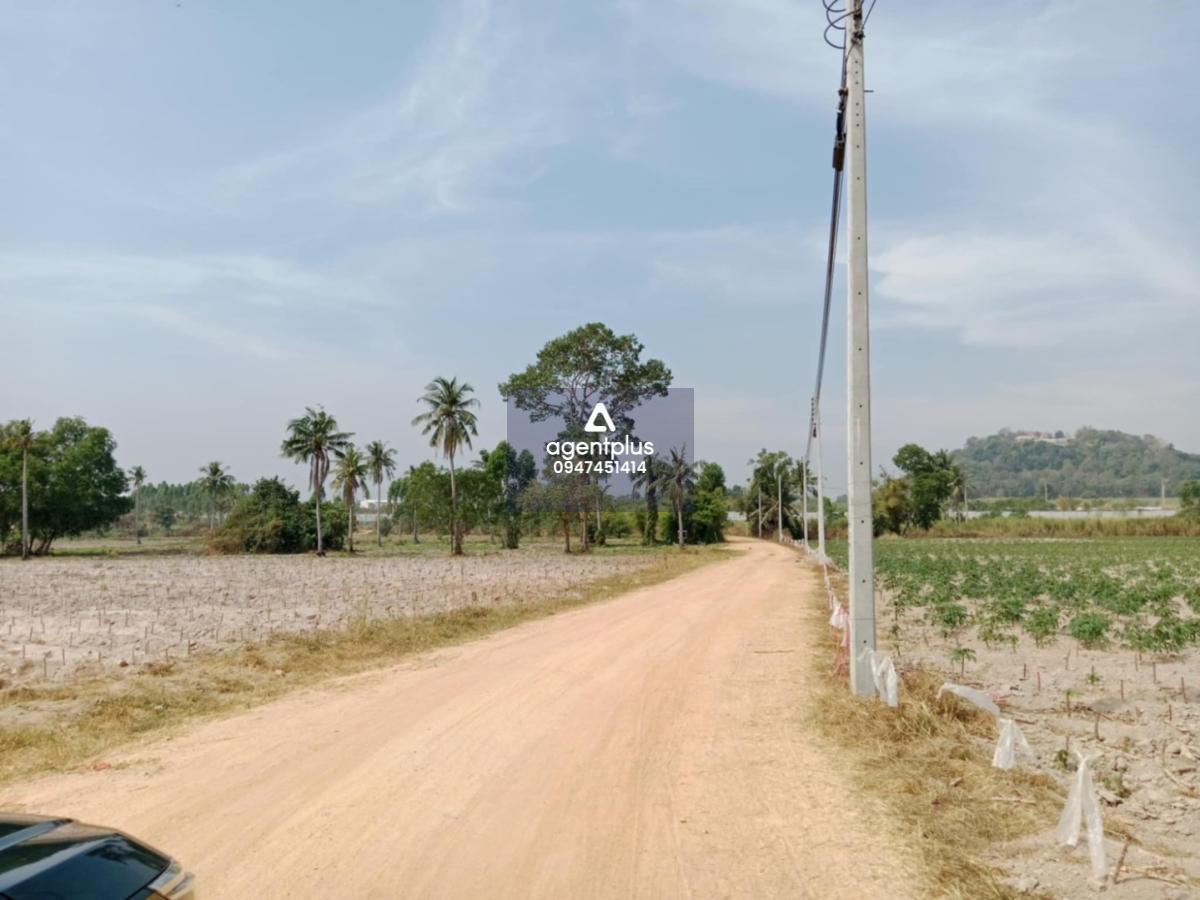 * ขายที่ดิน ทุ่งกลม-ตาลหมัน ห้วยใหญ่ พัทยา 