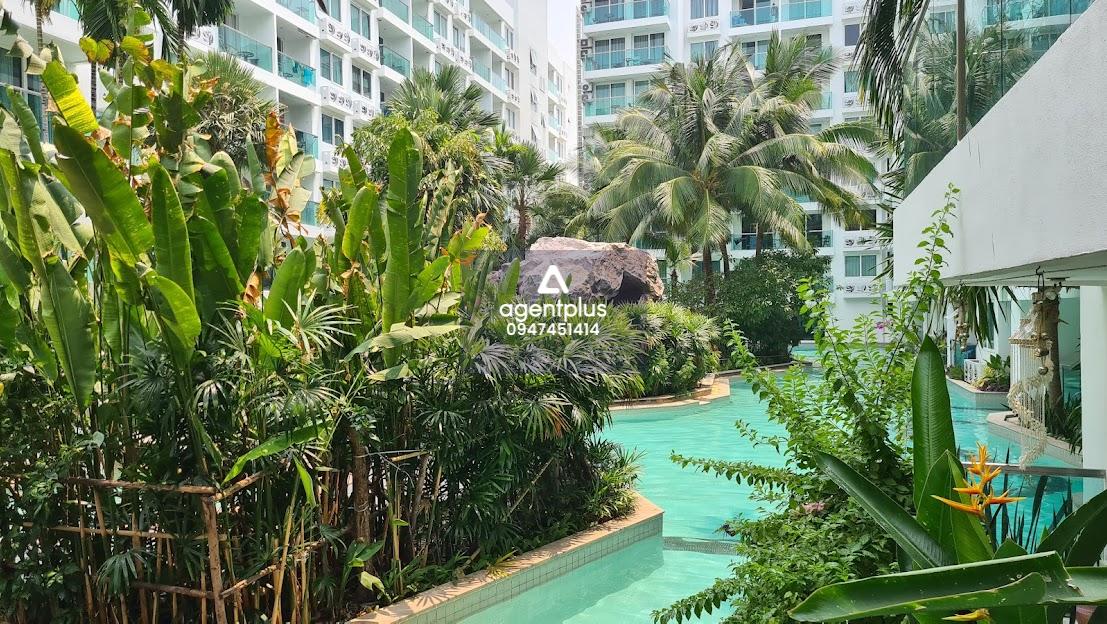 ขาย Amazon Residence Condo จอมเทียน พัทยา