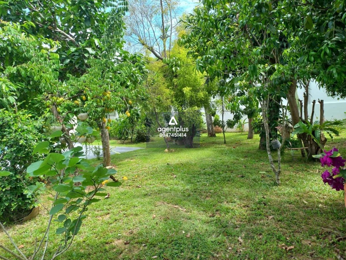 *ขายบ้านวิลล่าหลังใหญ่ พร้อมสระว่ายน้ำ ใกล้วัดญาณ ห้วยใหญ่ เนื่อที่เกือบไร่ ฟรีค่าโอน