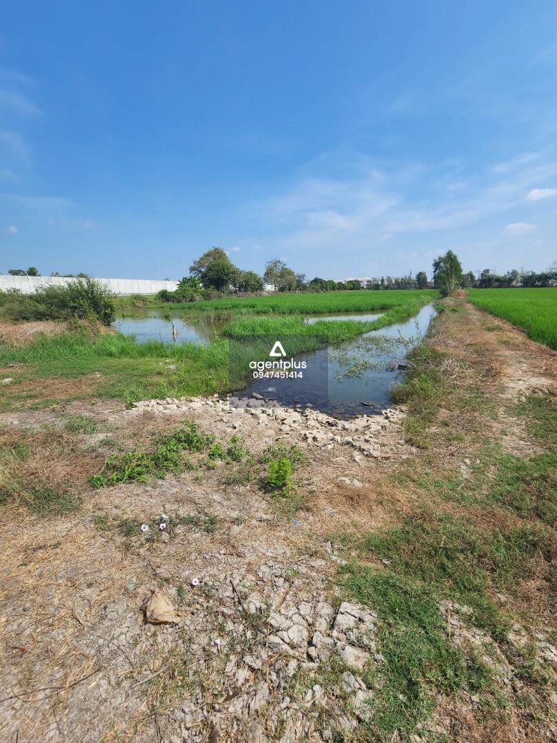 ที่ดินแปลงสวย ทำเลซอยยิ้มแย้ม คลองข่อย ปากเกร็ด นนทบุรี