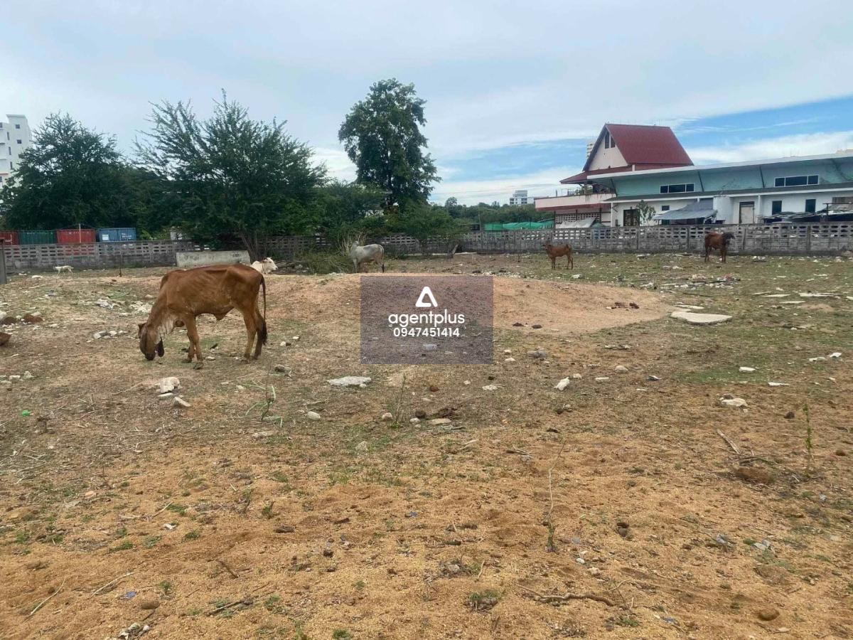 # ขายที่ดินใจกลางเมืองพัทยา เทพประสิทธิ์ 