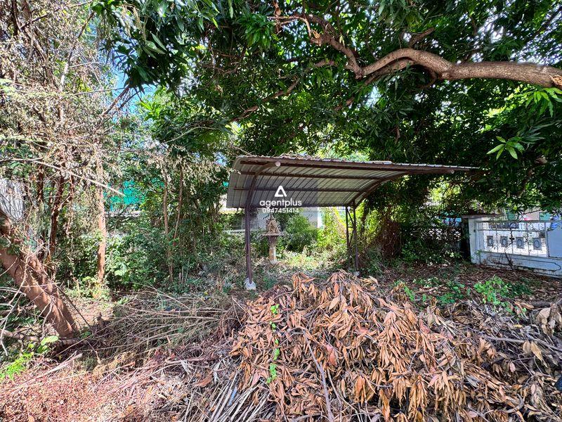 ขายที่ดิน ใจกลางเมือง พัทยากลาง