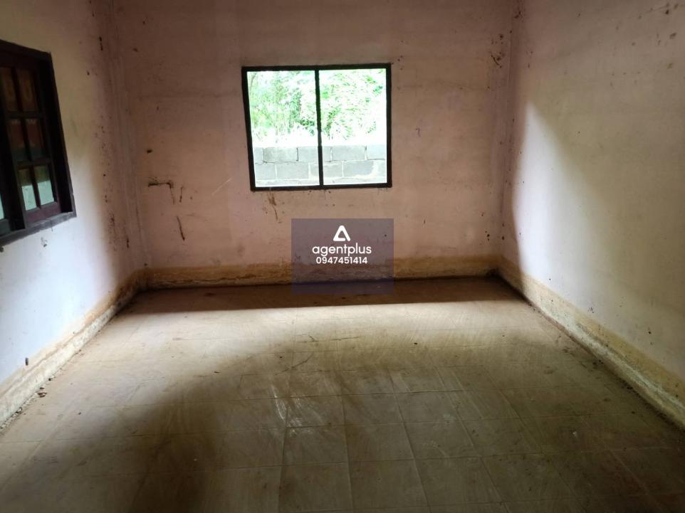 บ้านเดี่ยว ซอยสมชาญ นิคมพัฒนา บ้านเดี่ยวชั้นเดียว การคมนาคมสะดวก สาธารณูปโภคครบครัน ใกล้แหล่งชุมชน พื้นที่เกษตรกรรม