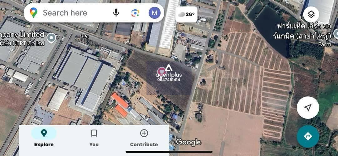 ที่ดินม่วงลาย ศรีราชา หนองขาม