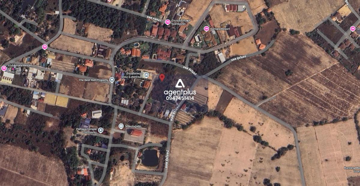 ขายที่ดินเปล่า – ทำเลบางเสร่ ชลบุรี (ซื้อแยก / ซื้อรวมได้)