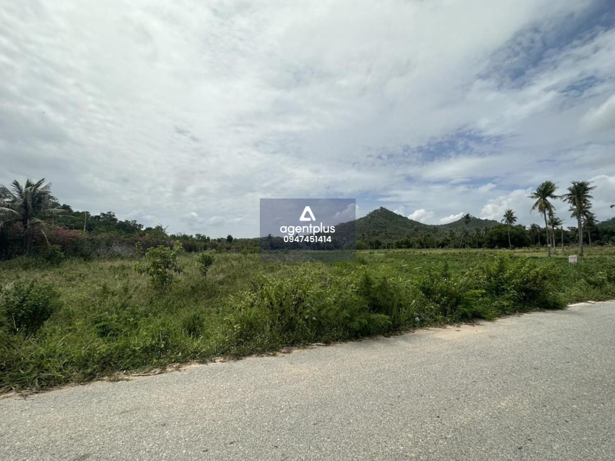 ขายที่ดินติดถนน โป่ง บางละมุง ชลบุรี