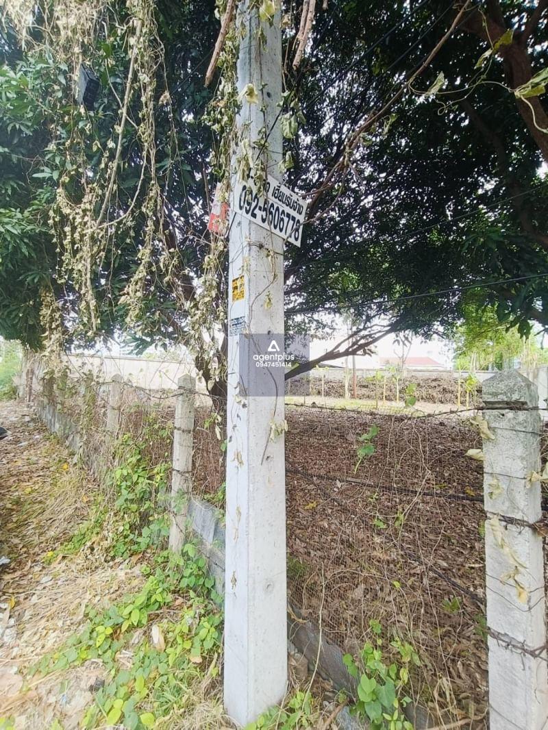 * ขายที่ดินแปลงสวยโซนทะเล ใกล้หาดวงศ์อมาตย์ ซอยนาเกลือ 13 ติดกับโรงเรียนอักษร พัทยาเหนือ