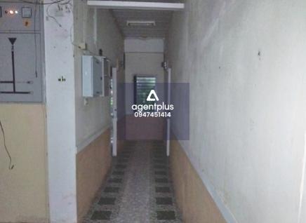 ขายอพาร์ทเมนท์ 4 ชั้น 2 อาคาร อำเภอเมืองสุราษฎร์ธานี