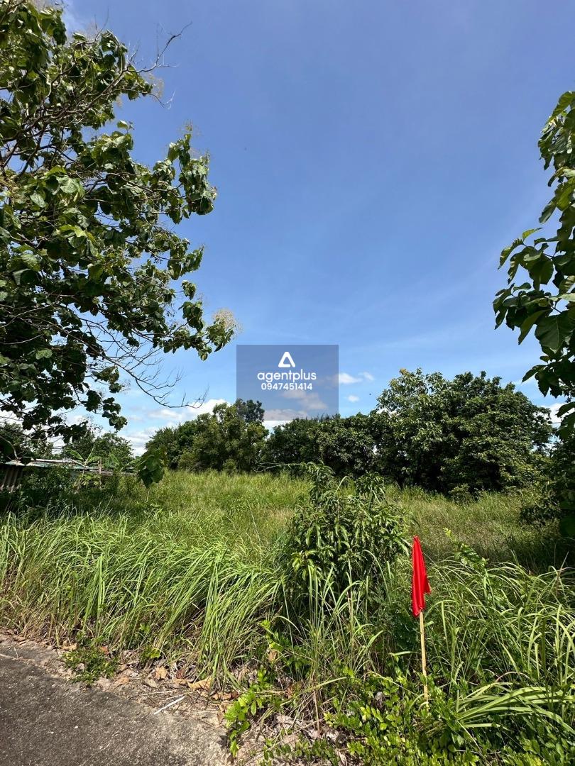 ขายที่ดินในห้วยใหญ่ แปลงสวย ทำเลสงบ