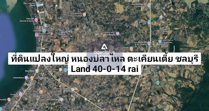 *ขายที่ดินยกแปลงใหญ่ ตะเคียนเตี้ย ชลบุรี