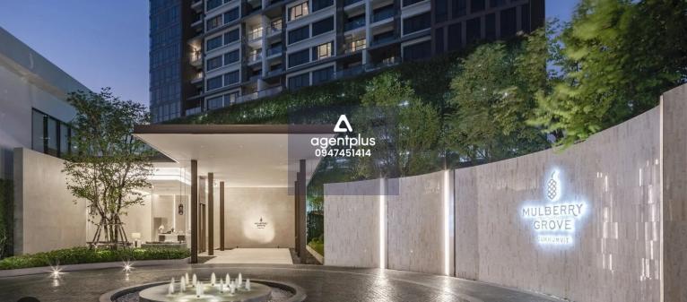 ขายคอนโด มัลเบอร์รี่ โกรฟ สุขุมวิท คอนโดลักชัวรี่ใจกลางสุขุมวิท ใกล้ BTS เอกมัย