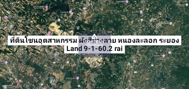 *ขายที่ดินผังสีม่วงลาย โซนอุตสาหกรรม หนองละลอก ระยอง