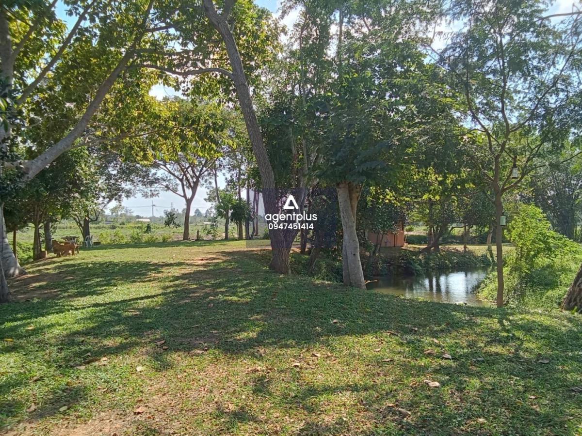 *ขายที่ดิน  ซอยวัดญาณ