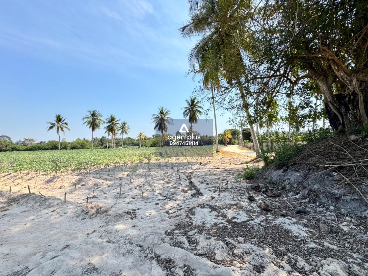 ขายที่ดินแปลงสวย ด้านหน้าติดถนน ห้วยใหญ่ บางละมุง ชลบุรี พัทยา