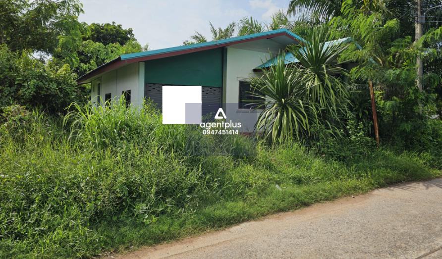 ขาย บ้านเดียวชั้นเดียว ทำเลดีห่างจากถนนสายหนองบัวลำภู - วังสะพง 