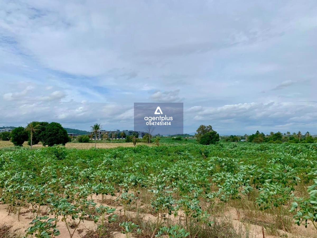 ขายที่ดินแปลงใหญ่ ราคาพิเศษ ติดกับโรงเรียนนานาชาติรักบี้ วิวเขาชีจรรย์ เมืองพัทยา