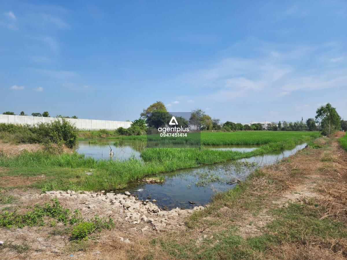 ที่ดินแปลงสวย ทำเลซอยยิ้มแย้ม คลองข่อย ปากเกร็ด นนทบุรี