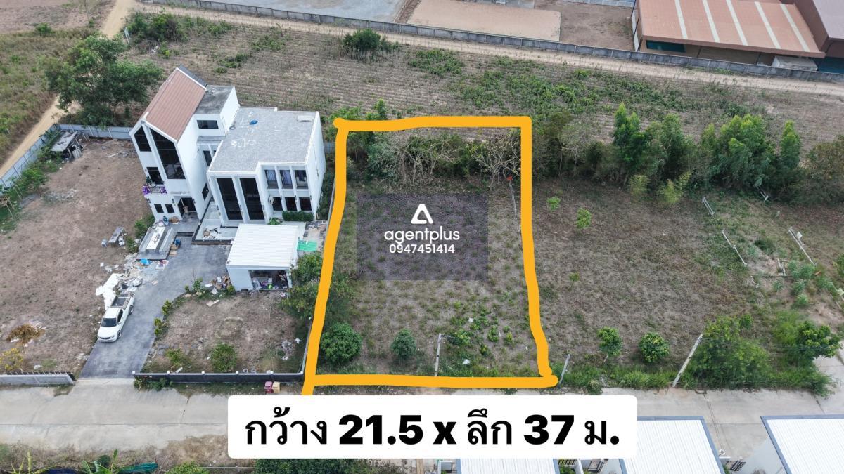  ขายที่ดินในโครงการชากนอก 19