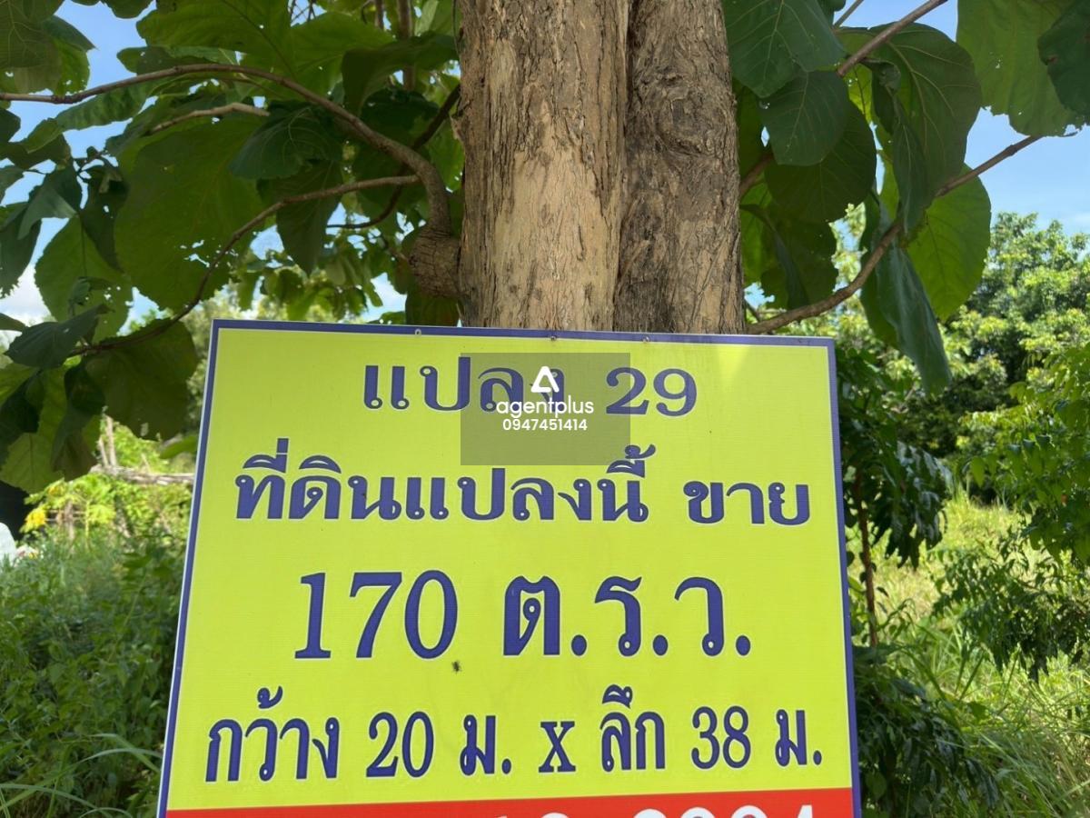 ขายที่ดินในห้วยใหญ่ แปลงสวย ทำเลสงบ