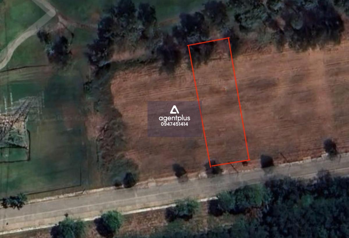 ขายที่ดินเปล่า – วินด์เซอร์ปาร์ค แอนด์ กอล์ฟคลับ ทำเลดี ใกล้สนามกอล์ฟ สภาพแวดล้อมร่มรื่น เหมาะสร้างบ้านพักส่วนตัว รีสอร์ท หรือโครงการลงทุน