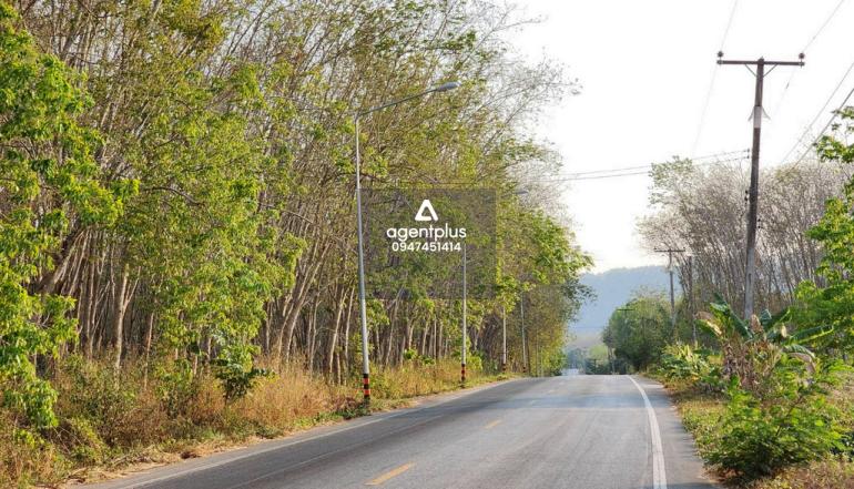 *ขายที่ดินเปล่า 4,200 ไร่ | พื้นที่ยุทธศาสตร์ EEC | ระยอง