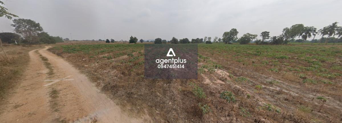 ให้เช่า ที่ดินแปลงใหญ่   16-1-59  ไร่ ใจกลางหนองปรือ – บางละมุง, ชลบุรี