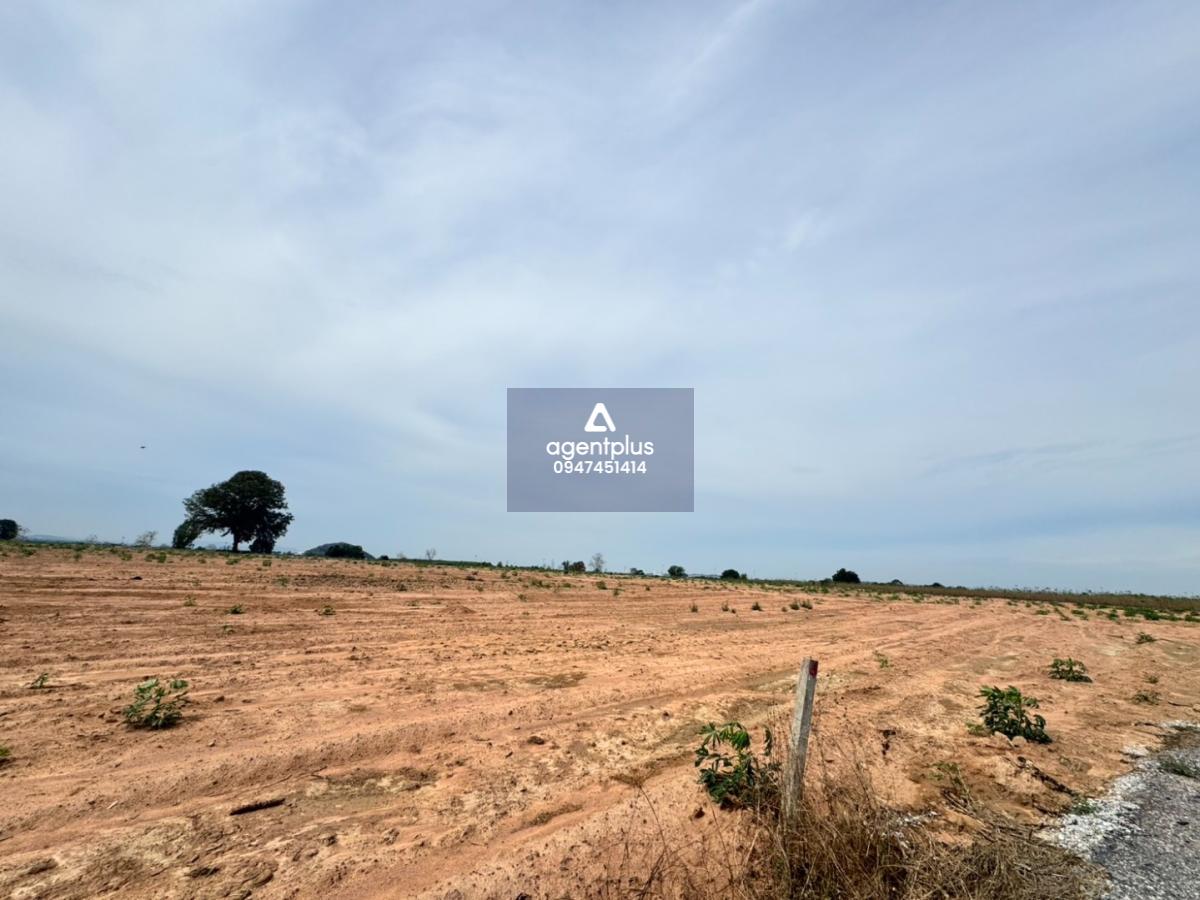 * ขายที่ดิน แปลงใหญ่ ทุ่งกลม ตาลหมัน พัทยา