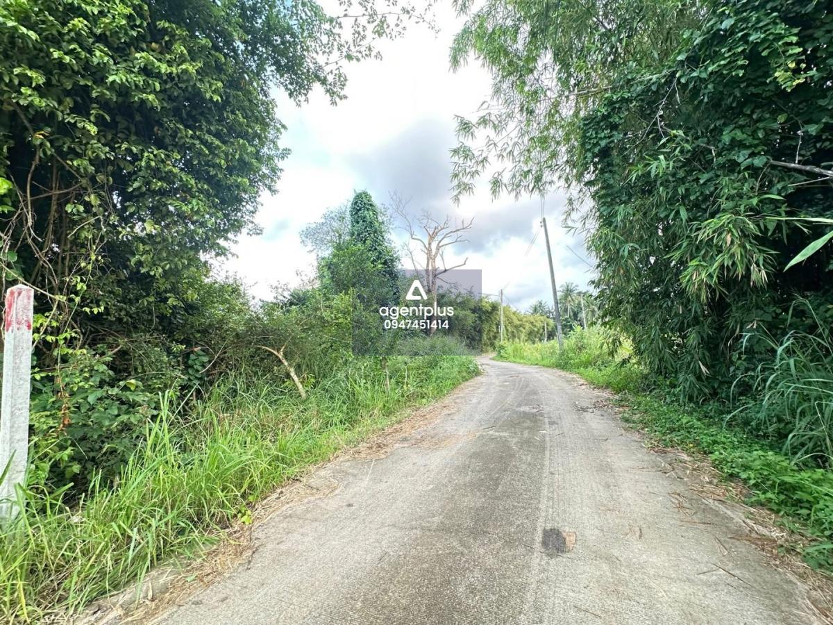 #*ขายที่ดินน้ำ-ไฟพร้อม นิคมพัฒนา ซอย 9 – สาย 15 ใกล้ WHA36 ระยอง