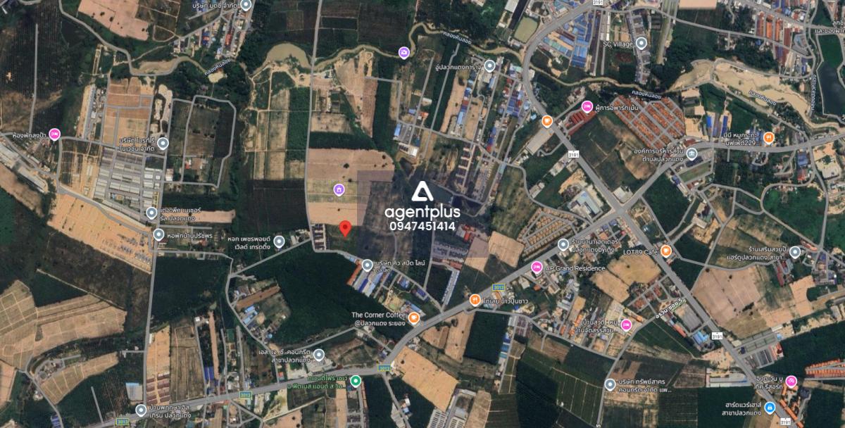 *ชายที่ดินยกแปลง ผังสีม่วงลายจุด ติดถนนปลวกแดง 3013 ระยอง