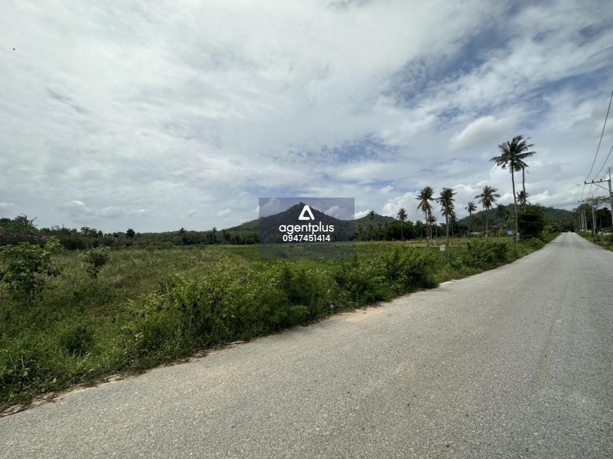 ขายที่ดินติดถนน โป่ง บางละมุง ชลบุรี