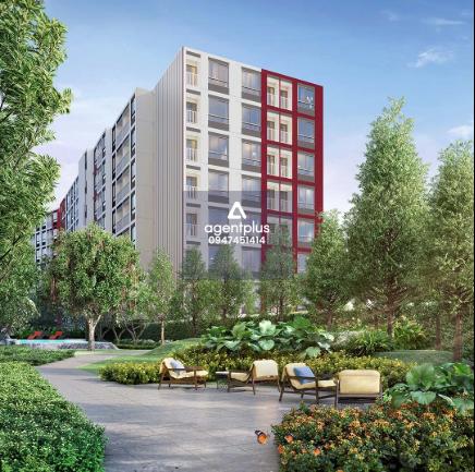 ขายคอนโดใหม่ พร้อมอยู่ ดีคอนโด ไฮป์ รังสิต (Dcondo Hype Rangsit) ตรงข้าม ม.กรุงเทพ ฟังก์ชันครบ ทำเลดีเยี่ยม ราคาสุดคุ้ม