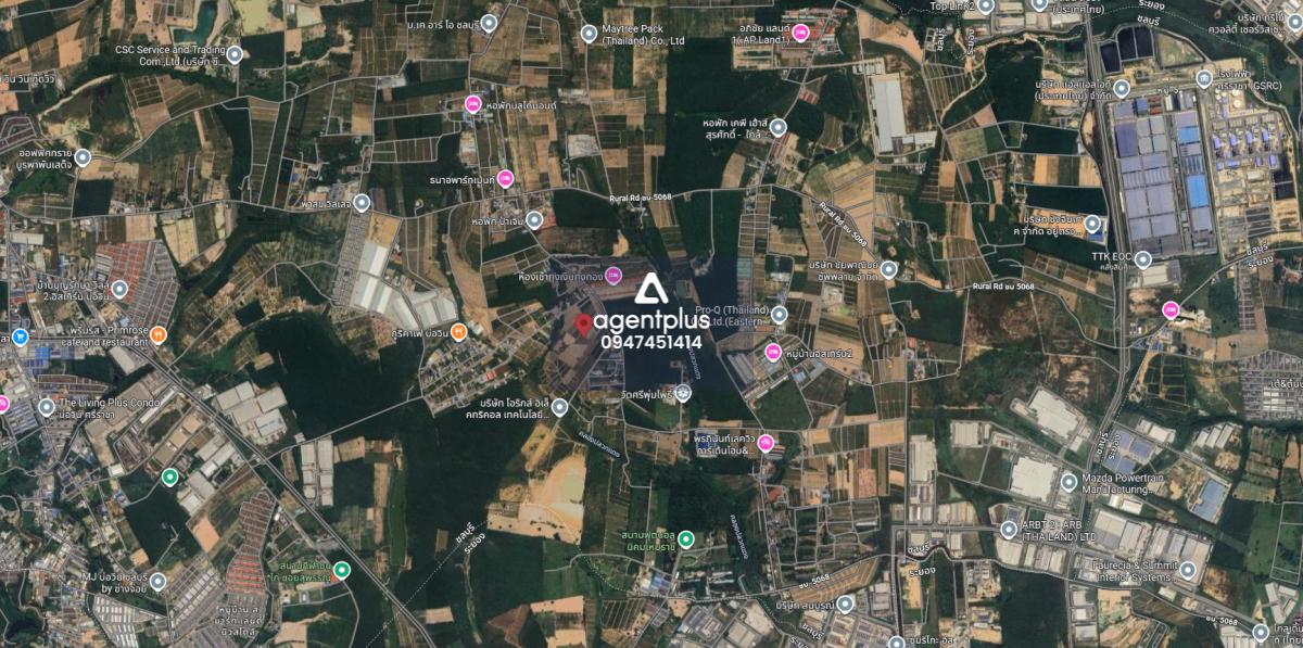 ขายที่ดินในเขตชุมชน ที่ดินใหญ่ ปลวกแดง ระยอง